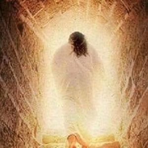 Meet your Posher, Jack